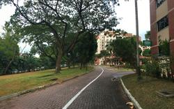 Blk 498H Tampines Street 45 (Tampines), HDB 4 Rooms #114545302